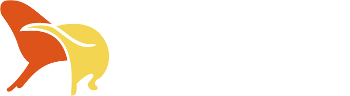 SUN TING SHUN logo