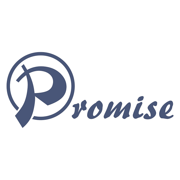 Promise